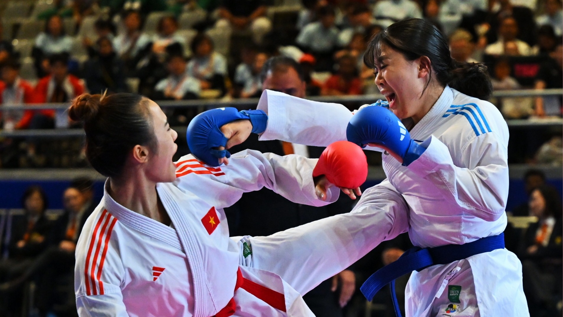 Aichi-Nagoya 2026: Asia's karate elite opens four days at Toyohashi Gymnasium