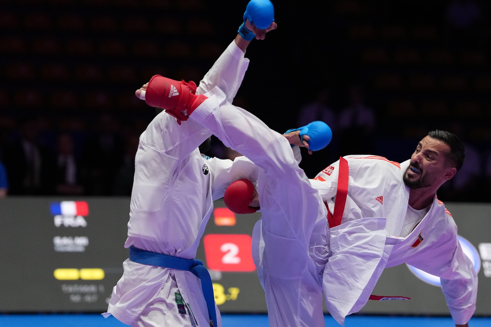 Frankfurt Crowns Europe's Best: A Deep Dive into European Senior Championship Medalists